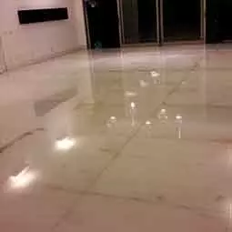 limpadoras sofá Limpadora em Macapá